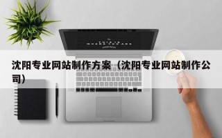 延边沈阳专业网站制作方案（沈阳专业网站制作公司）